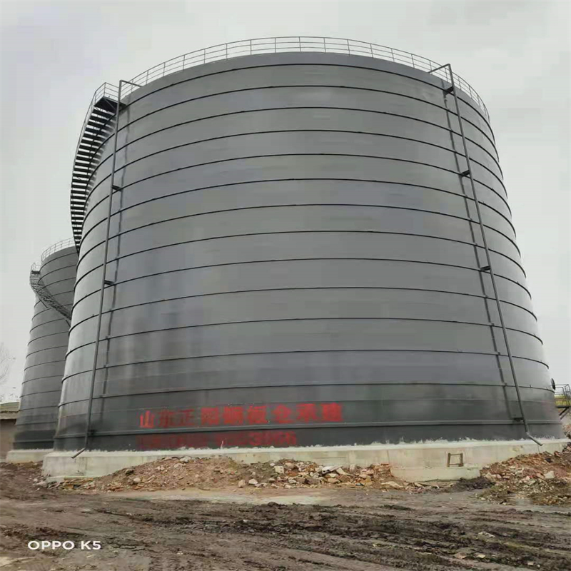 龙江镇3万吨大型钢板库