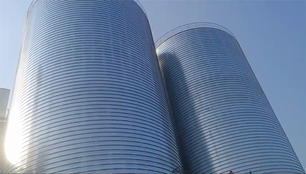 龙江镇2座混凝土高架卷板仓